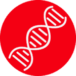 AZ DNA Paternity Logo