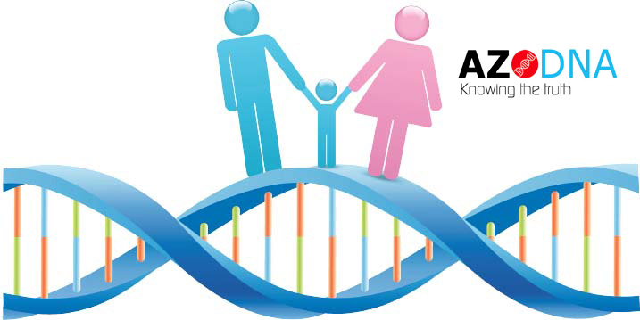 You are currently viewing How to Establish Paternity Through DNA Testing?