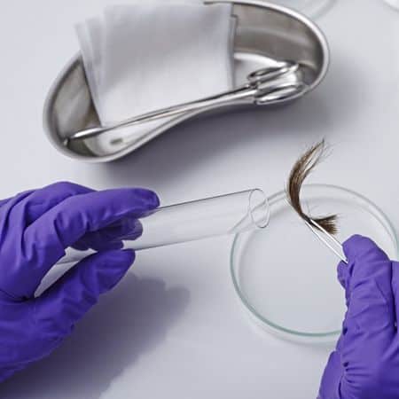 hair dna test